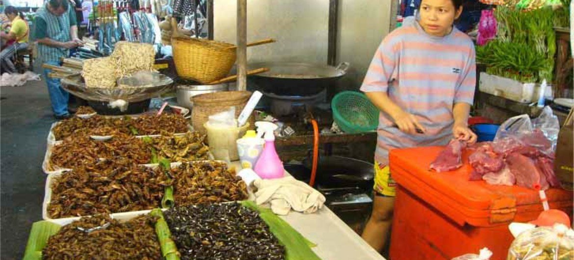 Puesto de insectos en mercado de Tailandia