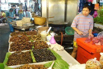 Un marché dans le nord de la Thaïlande (photo archives). Photo FAO/P.B. Durst