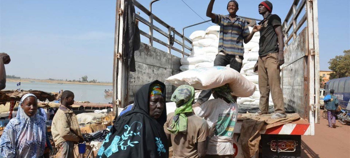 Sacks of rice being transported in Mali by WFP from the central river port of Mopti to the northern town of Timbuktu and beyond.