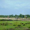 Des personnes qui fuient la ville Pibor dans l'état du jonglei au Soudan du Sud.