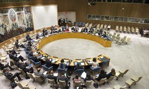 Le Conseil de sécurité des Nations Unies.