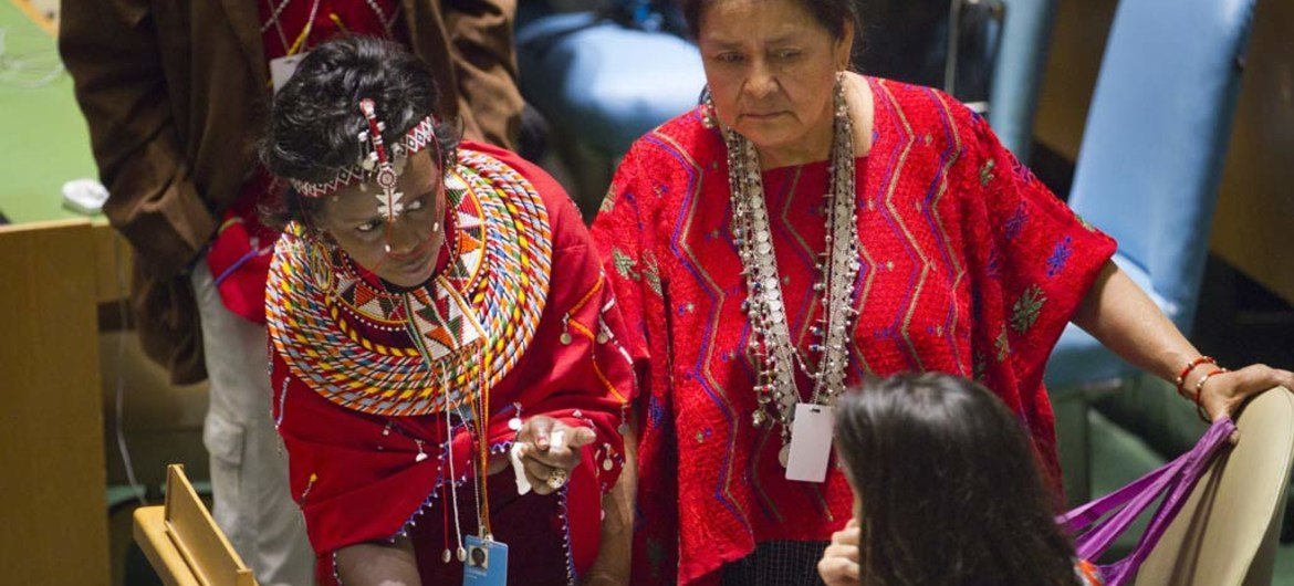 Participantes en el Foro Permanente sobre Cuestiones Indígenas  Foto archivo:  ONU/Rick Bajornas