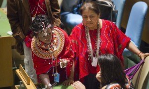 Delegates in the General Assembly Hall at the opening of the twelfth session of the Permanent Forum on Indigenous Issues.