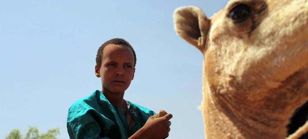 A young boy on a camel in Agadez, Niger.