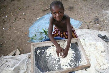 A young boy prepares cassava flour in the village of Foinda, Sierra Leone.