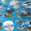 В медузах мало углеводов и много белка, но они легко портятся при повышении температуры и могут служить переносчиками патогенных бактерий. 