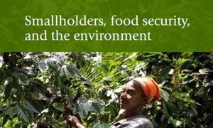 an estimated 2.5 billion people who manage 500 million smallholder farm households provide over 80 per cent of the food consumed in much of the developing world.