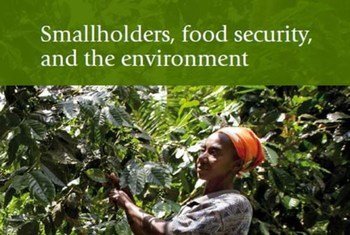an estimated 2.5 billion people who manage 500 million smallholder farm households provide over 80 per cent of the food consumed in much of the developing world.