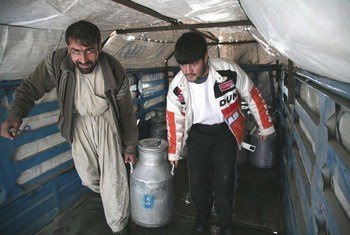 En Afghanistan, des travailleurs laitiers transportent un bidon de lait en Afghanistan.