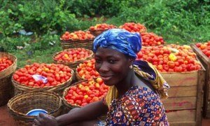 Tomatoes produced for sale at a market in Ghana.