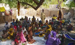 After fighting began between Nigerian forces and Boko Haram, a family from Borno state fled to Niger.