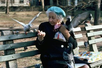 An elderly person feeds pigeons in New York City's Central Park.
