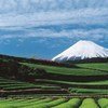 जापान का फूजीसन इलाक़ा जिसे प्राकृतिक सुन्दरता के साथ, पवित्र स्थल और कलात्मक अभिप्रेरण का स्रोत समझा जाता है.