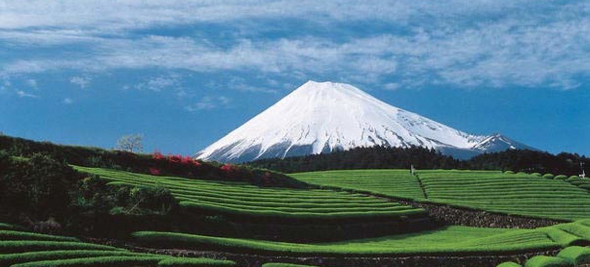 Fujisan, lieu sacré et source d'inspiration artistique (Japon). 