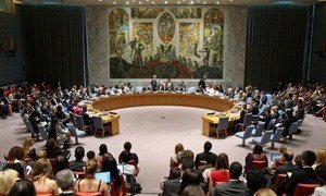 Le Conseil de sécurité des Nations Unies.