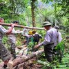 The new GlobAllomeTree tool allows users to assess tree biomass and carbon stocks by measuring trunk diameter and height, Lao Cao Province, Vietnam.