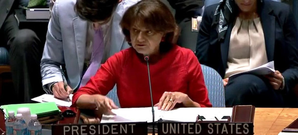 时任美国常驻联合国副代表迪卡洛在安理会发言。