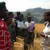 La Directrice exécutive du PAM, Ertharin Cousin, (à droite), avec des femmes exploitantes agricoles lors de sa première visite au Rwanda. PAM/Challiss McDonough