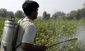 Highly hazardous pesticides should be phased out because it has proven very difficult to ensure proper handling.