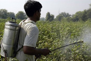 Os pesticidas altamente perigosos devem ser eliminados devido a dificuldade  do manuseio adequado.