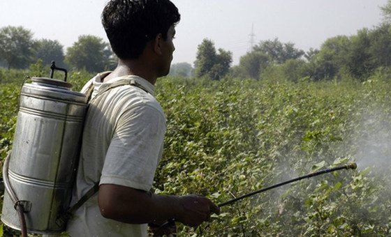 Os pesticidas altamente perigosos devem ser eliminados devido a dificuldade  do manuseio adequado.