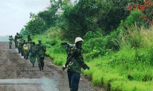 Des Casques bleus de la MONUSCO escortent des combattants du M23 qui se sont rendus dans le Nord-Kivu.