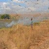 Communities in Madagascar trying to protect their fields from locusts using smoke.