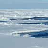 Изменение климата особенно остро сказывается на Арктике 