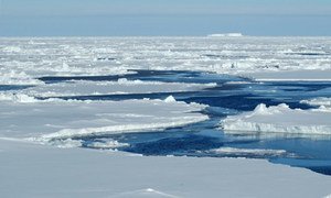 Human activity will further warm the Earth, with dramatic effects on weather, sea-levels and the Arctic.