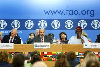 Graziano Da Silva-Director General, FAO (Centre) addressing the Committee on World Food Security at FAO headquarters. FAO/Alessia Pierdomenico