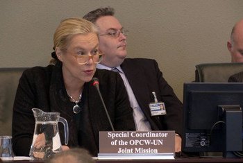 La Coordonnatrice spéciale de la mission conjointe en Syrie de l'Organisation pour l'interdiction des armes chimiques (OIAC) et de l'ONU, Sigrid Kaag.