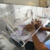 A health worker places a preterm newborn into an incubator to improve the chances of survival.