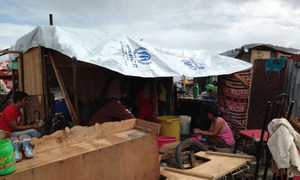 Des survivants du super-typhon Haiyan, dans leur abri de fortune à San Roque, dans la provinde Leyte, dans les Philippines.