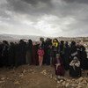Syrian refugees queue to be registered on the outskirts of the Lebanese town of Arsal.