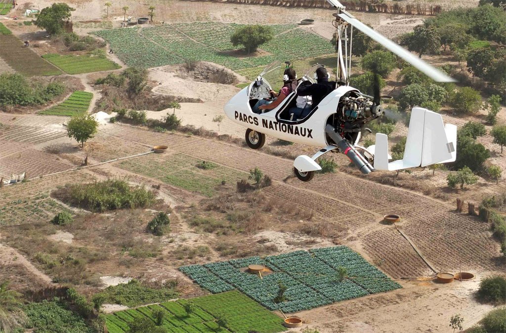 绝育昆虫技术通过空中释放绝育雄性昆虫来减少采采蝇的繁殖。