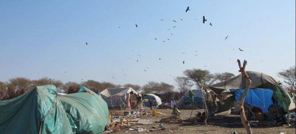 In South Sudan, an estimated 4,000 displaced civilians sheltering at the UNMISS base in Bentiu, Unity State, have left for safer destinations but almost 5,000 remain in the protected area.