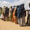 نساء لاجئات من الصومال ينتظرن في طابورللحصول على مواد غذائية في شمال شرق كينيا.
