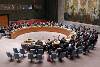 Reunión del Consejo de Seguridad  Foto: