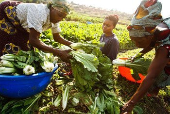 Food gardens promote inclusion, teach sustainability, and offer a space where the youth can meet, learn, share and build social capital.