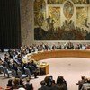 El Consejo de Seguridad de la ONU  Foto:/Evan Schneider