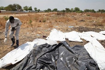 A volunteer in the South Sudanese town of Bor arranges corpses, victims of repeated clashes between government forces and rebels.