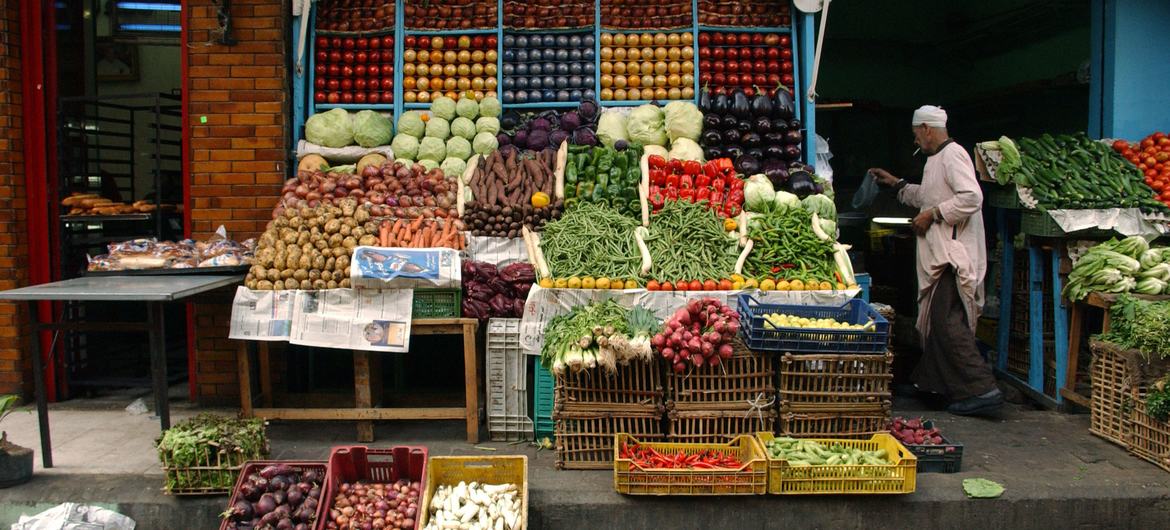 يشكل الصراع والنمو السكاني السريع والاعتماد الكبير على الواردات الغذائية تحديات خطيرة على الأمن الغذائي في الشرق الأدنى وشمال أفريقيا. المصدر: الفاو / آيمي فيتالي