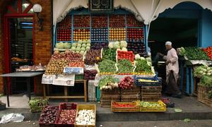 Conflict, rapid population growth and a heavy reliance on food imports pose serious challenges for food security in the Near East and North Africa.