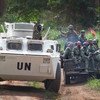 联合国驻刚果民主共和国特派团/Sylvain Liechti