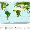 粮农组织全球土地覆盖显示图。图片来源：粮农组织