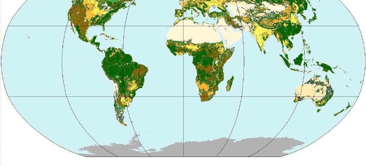 粮农组织全球土地覆盖显示图。图片来源：粮农组织