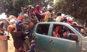 Muslim residents from Kaga Bandoro, Central African Republic, flee towards Chad escorted by armed Séléka militias.