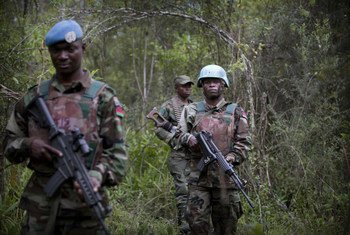 Elements of the Malawi contingent of the Intervention Brigade on a joint patrol with Government forces in the Democratic Republic of the Congo (DRC).