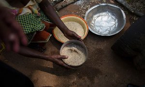 A woman sifts through seeds at a camp for people displaced by violence in the Central African Republic.