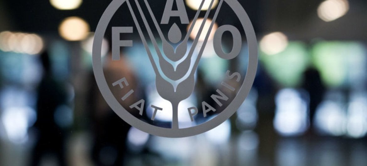FAO Headquarters.